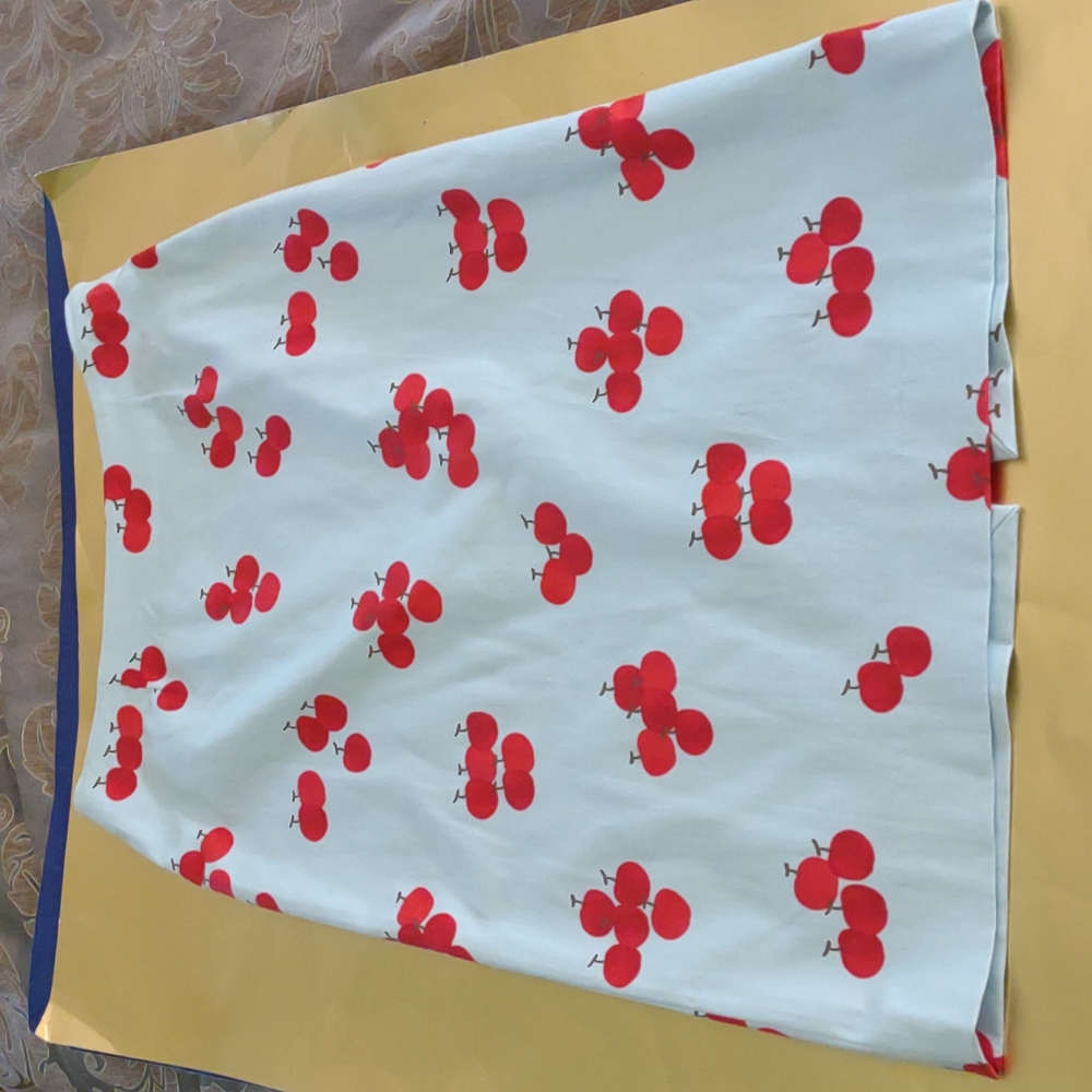 Moschino cheap and chic baby blue and red cherry skirt size 6